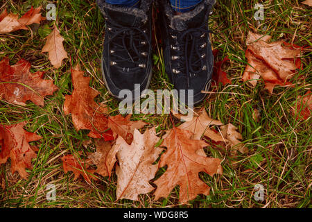 Autumn season and feet in black sneakers on a field with yelloew leves. Top view. Stock Photo