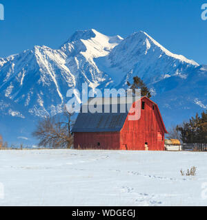 red barn below the mission mountains in winter near ronan, montana Stock Photo