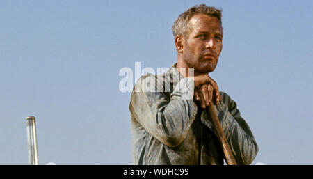 COOL HAND LUKE 1967 Warner Bros/Seven Arts film with Paul Newman Stock Photo