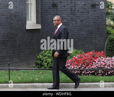 Westminster, London, UK. 29th Aug, 2019. James Cleverly, Conservative Party Chairman, enters No 10 Downing Street this evening. Credit: Imageplotter/Alamy Live News