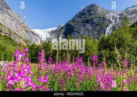 Briksdal glacier in Norway wel known arm of the large Jostedalsbreen glacier in Oldedalen valley in Norway, Scandinavia. Stock Photo