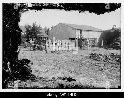 German Colonies in Palestine. Wilhelm [i.e., Wilhelma] & Sarona Abstract/medium: G. Eric and Edith Matson Photograph Collection Stock Photo