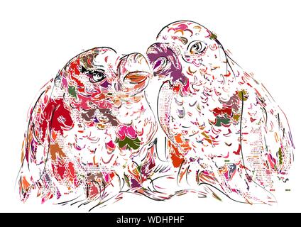 parrots. two birds isolated on white background Stock Vector