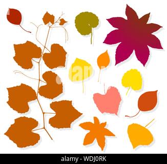 Colorful autumn leaves set on white background. Vector illustration Stock Vector