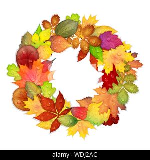 Colorful autumn leaves frame isolated on white background. Vector illustration Stock Vector