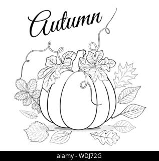 Autumn background with pumpkin and leaves for coloring book vector Stock Vector