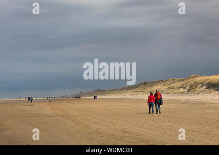 Walker on the North Sea beach of Egmond aan Zee, North Holland, Netherlands, Stock Photo