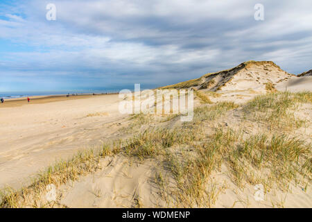 North Sea beach of Egmond aan Zee, North Holland, Netherlands, dunes, Stock Photo