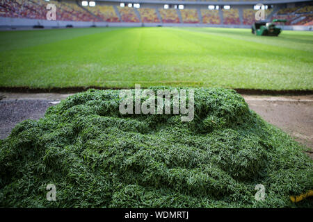 Details with the freshly installed and trimmed new turf on a soccer stadium Stock Photo