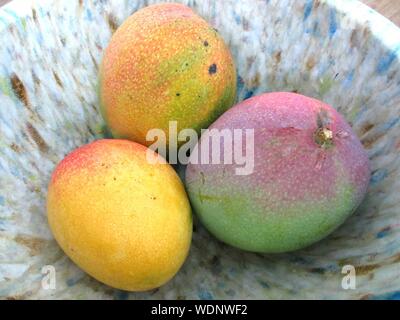 High Angle View Of Fresh Mangoes In Bowl