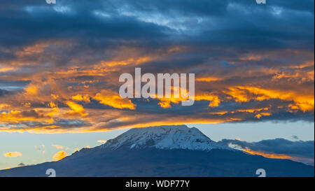 The Chimborazo volcano and Andes mountain peak at sunset is the highest peak of Ecuador located near Riobamba city, South America. Stock Photo