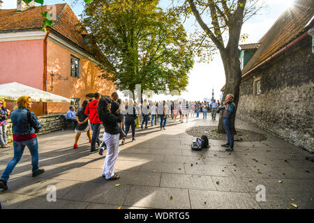 Tourists enjoy a street performer playing the violin at the Toompea Hill lookout in the upper town of Old Town Tallinn, Estonia Stock Photo
