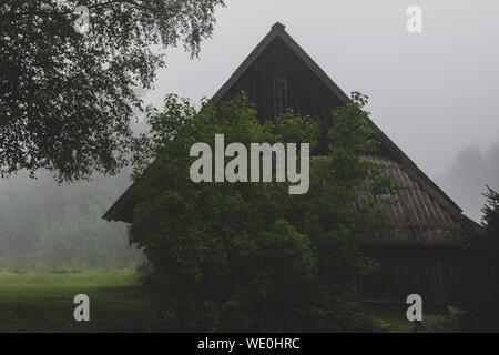 Very old rural barn during early morning fog in autumn. In the background visible birch tree, lilac tree, forest and meadow. Very mysterious and frigh Stock Photo