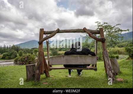 Rear of young couple sitting on wood swing in national park Stock Photo