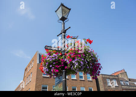 Capital Ring signage and hanging baskets on Richmond Green, Richmond, Surrey, England, UK Stock Photo