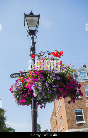 Capital Ring signage and hanging baskets on Richmond Green, Richmond, Surrey, England, UK Stock Photo