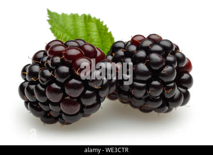 Fresh blackberries with leaf isolated on white background Stock Photo