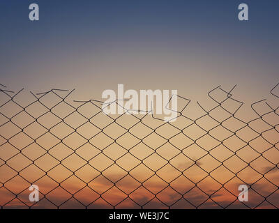 Old wire mesh fence texture against sunset sky background.