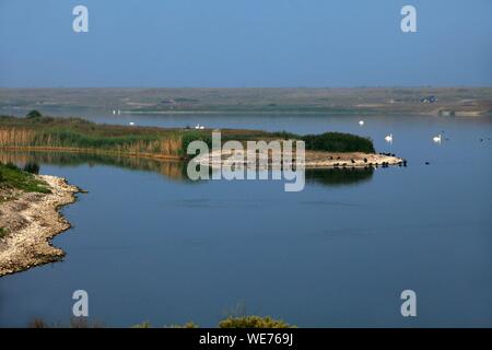 France, Somme, Cayeux sur Mer, The Hâble d'Ault is a protected area of &#x200b, &#x200b, the littoral picard Stock Photo