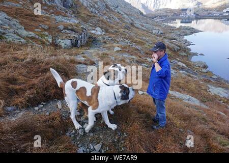 Switzerland, Valais Canton, Col du Grand Saint Bernard pass, Great St Bernard Hospice and St Bernard dogs Stock Photo