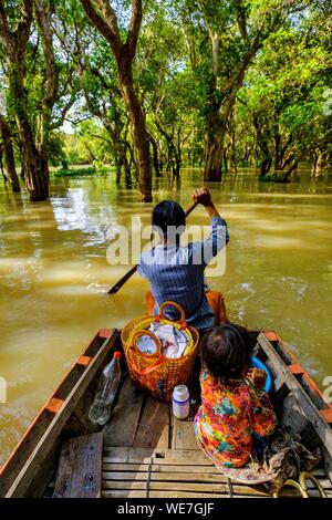 Cambodia, Kompong Phluc or Kampong Phluc, near Siem Reap, row boat in the flooded forest on the banks of Tonlé Sap lake Stock Photo