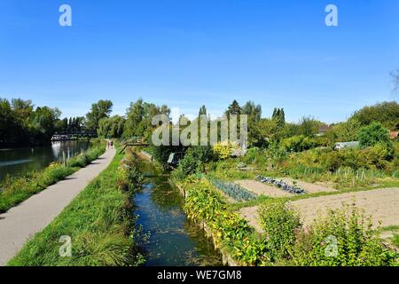 France, Somme, Amiens, the Hortillonnages are old marshes filled to create a mosaic of floating gardens surrounded by canals Stock Photo