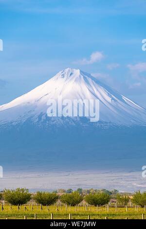 Armenia, Ararat region, Mount Ararat in the extreme east of Turkey Stock Photo