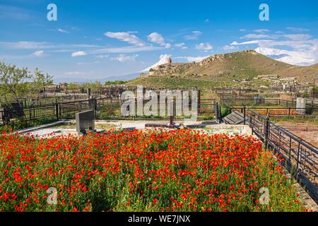 Armenia, Ararat region, cemetery at the foot of Khor Virap monastery, Mount Ararat in the background Stock Photo