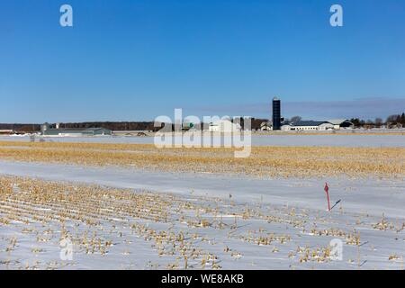 Canada, Quebec province, Via Rail train between Quebec and Montreal, Center-du-Québec region, Drummondville area farm Stock Photo