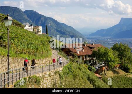 Italy, autonomous province of Bolzano, Tirol, hikers and cyclists on the trail leading from the Tyrol Castle to the village of Tirol which gave its name to the Tyrol region Stock Photo