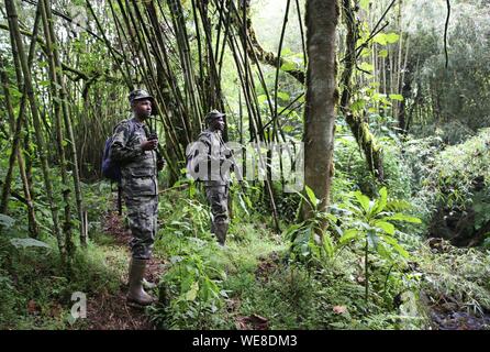 Rwanda, Volcanoes National Park, two rangers in lattice and armed with machine guns in a bamboo forest Stock Photo