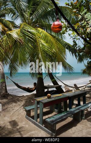 Colombia, Providencia island, man in a hammock hanging between two coconut palms of Rolland's bar located on the beach of Manzanillo bathed by the turquoise waters of the Caribbean Stock Photo