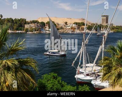 Egypt, Upper Egypt, Nubia, Nile Valley, Aswan, Felucca sailing in front of Elephantine Island Stock Photo