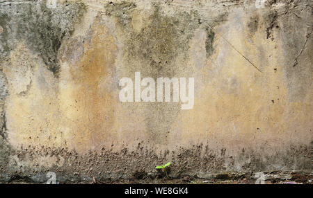 Stains and cracks on concrete surface , Black and brown stripes on gray background Stock Photo