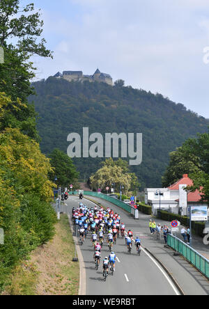 Marburg, Germany. 30th Aug, 2019. Cycling: UCI Europaserie, Germany Tour, 2nd stage from Marburg to Göttingen (202, 00 km). The main peloton runs below Schloss Waldeck. Credit: dpa picture alliance/Alamy Live News Stock Photo