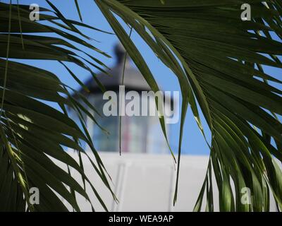 Close up of coconut leaves, with a blurred structure in the distance Stock Photo