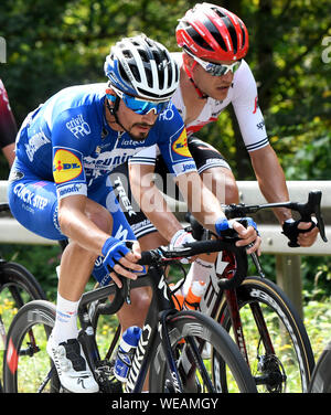 Marburg, Germany. 30th Aug, 2019. Cycling: UCI Europaserie, Germany Tour, 2nd stage from Marburg to Göttingen (202, 00 km). Frenchman Julian Alaphilippe from Team Quick-Step on the track. Credit: dpa picture alliance/Alamy Live News Stock Photo