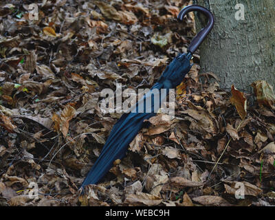 Black closed umbrella on fallen leaves leaning against a tree Stock Photo