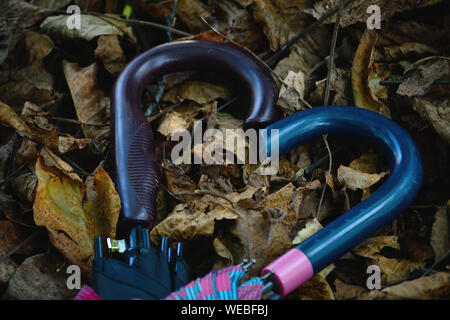 Two umbrella handles, heart shaped, on fallen leaves in autumn Stock Photo