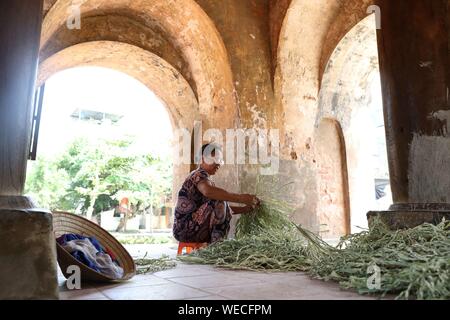 (190830) -- HANOI, Aug. 30, 2019 (Xinhua) -- A local villager processes dried palm leaves used to make traditional conical hats in the Chuong village on the outskirts of Hanoi, capital of Vietnam on Aug. 29, 2019. Vietnam's traditional conical hats are mostly made from bamboo and palm leaves, and they are among the country's most impressive traditional costumes. People in the Chuong village have been making conical hats for about 400 years. The locals buy green palm leaves from other provinces, dry them in the sun and iron and bleach the leaves into flat slices. They then use thin strings to f Stock Photo