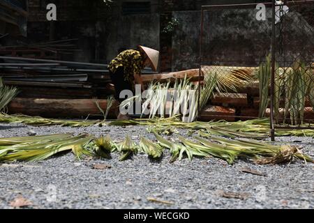 (190830) -- HANOI, Aug. 30, 2019 (Xinhua) -- A woman dries palm leaves in the sunlight to make traditional conical hats in the Chuong village on the outskirts of Hanoi, capital of Vietnam on Aug. 29, 2019. Vietnam's traditional conical hats are mostly made from bamboo and palm leaves, and they are among the country's most impressive traditional costumes. People in the Chuong village have been making conical hats for about 400 years. The locals buy green palm leaves from other provinces, dry them in the sun and iron and bleach the leaves into flat slices. They then use thin strings to fix layer Stock Photo