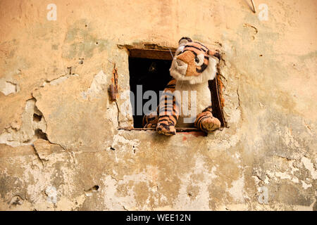 Stuffed tiger sticking out window from animals in the Yard of Lost Toys, in Lviv Ukraine Stock Photo