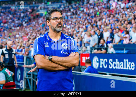 24 augustus 2019 Gelsenkirchen, Germany Soccer Schalke 04 v Bayern Munchen   24-08-2019: Voetbal: Schalke 04 v Bayer Munchen: Gelsenkirchen L-R FC Schalke 04 coach David Wagner Stock Photo