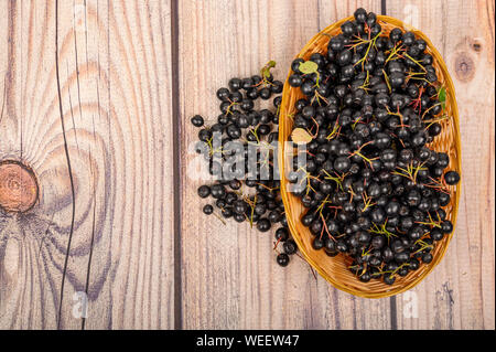 Ripe Aronia berries in a wicker basket on the table.