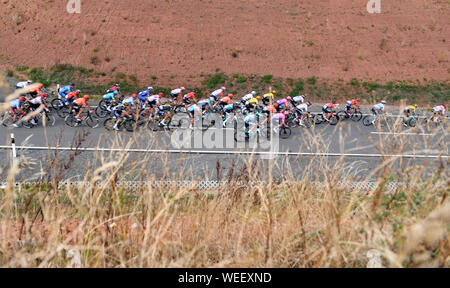 Marburg, Germany. 30th Aug, 2019. Cycling: UCI Europaserie, Germany Tour, 2nd stage from Marburg to Göttingen (202, 00 km). The driver's field on the track. Credit: dpa picture alliance/Alamy Live News Stock Photo