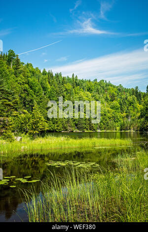 Landscape of a secluded sedge meadow lake in the lush green Boreal forest on the Talus lake Trail hike in Sleeping Giant Provincial Park, Ontario Stock Photo