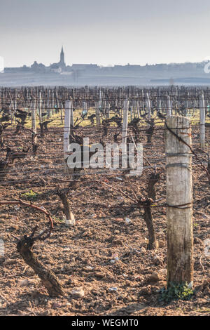 Looking across the vineyards towards the small village of Saint Andelain. The hazy morning light provides a near silhouette of the village. Stock Photo