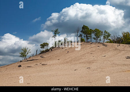 Sawyer, Michigan - Warren Dunes State Park on Lake Michigan. Tower Hill, the park's tallest sand dune, rises 236 feet above the lake. Stock Photo