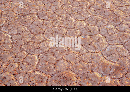 Cracked Mud Rim Light Hexagons Natural Background Backdrop Texture Pattern Stock Photo