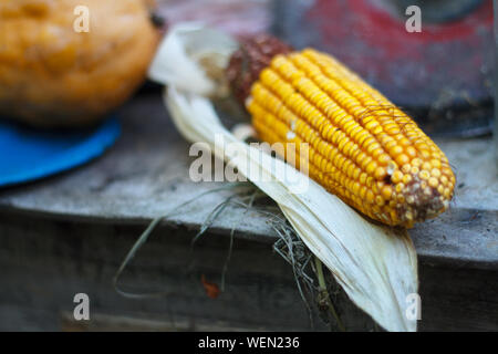 Extreme close-up of a corn cob on dark rustic wooden table, selective focus Stock Photo
